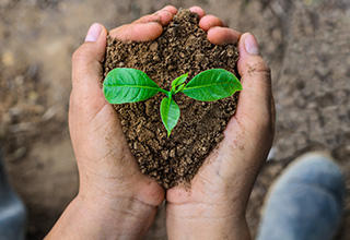 İmaj Çevre Yatırım Danışmanlık